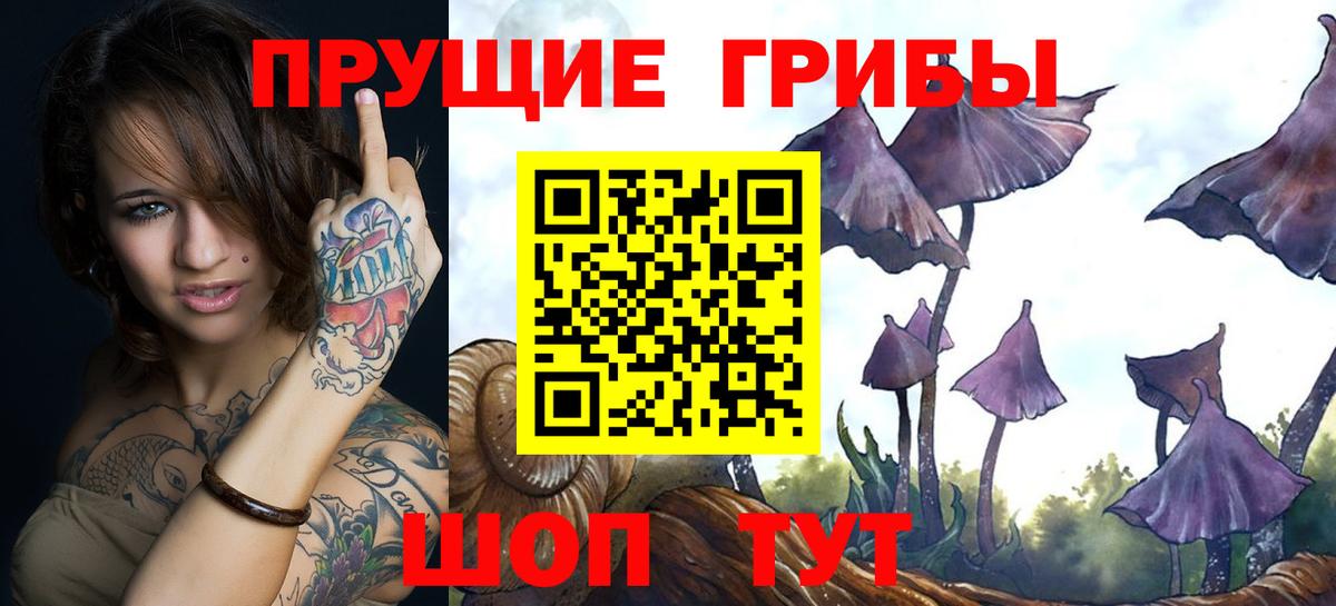 Псилоцибиновые грибы ЛСД Дербент